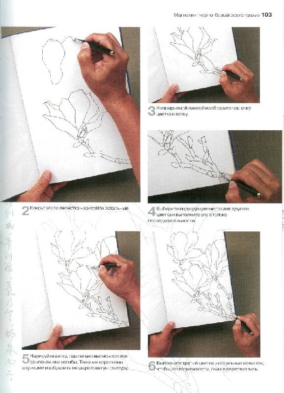 Иллюстрация 13 из 32 для Китайский рисунок. Техники и жанры - Лэй Лэй | Лабиринт - книги. Источник: bel-k