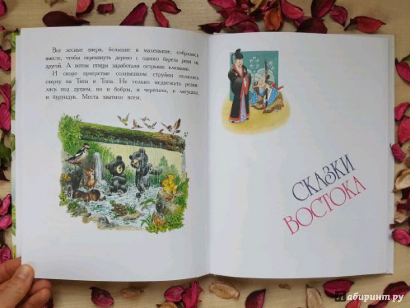Иллюстрация 22 из 31 для Сказки со всего света | Лабиринт - книги. Источник: Федулова  Анна Алексеевна