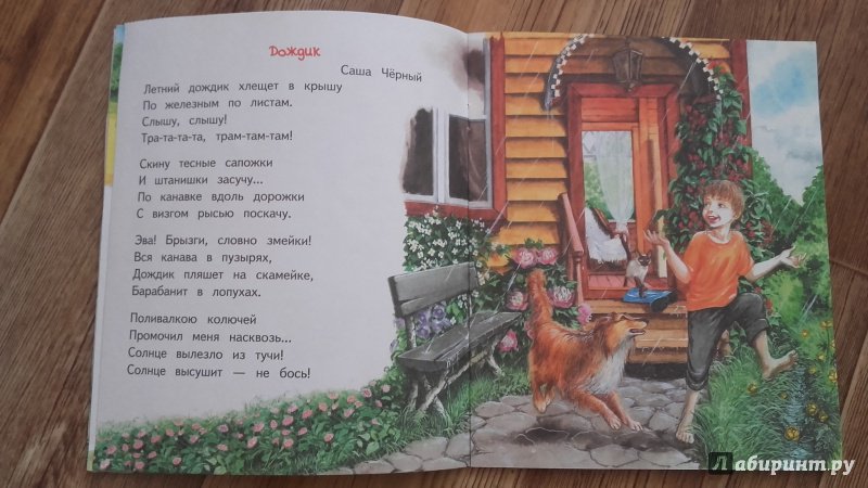 Иллюстрация 24 из 28 для Бабушкино лето | Лабиринт - книги. Источник: Калинина  Таня