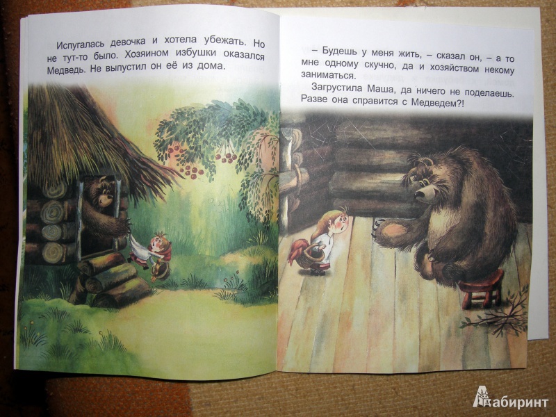 Иллюстрация 6 из 8 для Девочка и медведь | Лабиринт - книги. Источник: Сидорова  Наталья Александровна