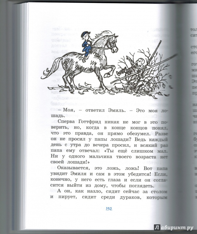Иллюстрация 21 из 31 для Приключения Эмиля из Лённеберги - Астрид Линдгрен | Лабиринт - книги. Источник: Агаточка