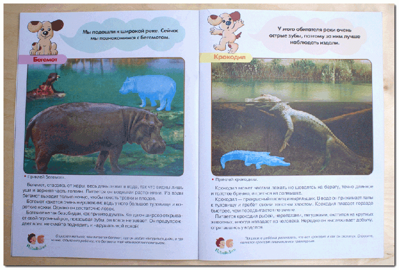Иллюстрация 20 из 21 для Животные жарких стран. Первые уроки 5+ - Л. Шайтанова | Лабиринт - книги. Источник: РИВА