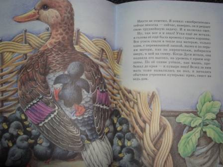 Иллюстрация 4 из 25 для Рассказы о животных - Михаил Пришвин | Лабиринт - книги. Источник: sher