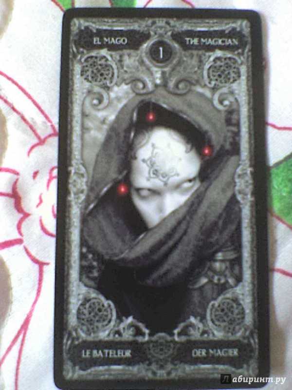 Иллюстрация 7 из 20 для Таро XIII - Nekro | Лабиринт - книги. Источник: Роза с шипами