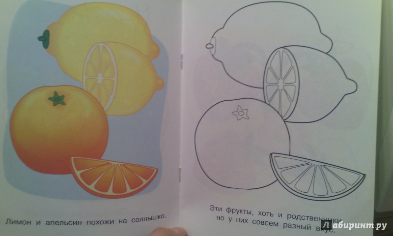 Иллюстрация 7 из 14 для Фрукты и ягоды. Малинка | Лабиринт - книги. Источник: Северянка
