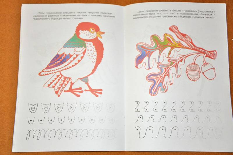 Иллюстрация 8 из 32 для Прописи с хвостиками - Ирина Лыкова | Лабиринт - книги. Источник: Виталий