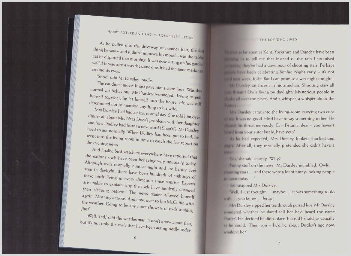 Иллюстрация 24 из 28 для Harry Potter and the Philosopher's Stone - Ravenclaw House Edition - Joanne Rowling | Лабиринт - книги. Источник: LanaEr