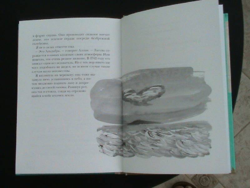 Иллюстрация 9 из 14 для Альдабра. Черепаха, которая любила Шекспира - Сильвана Гандольфи | Лабиринт - книги. Источник: Обычная москвичка
