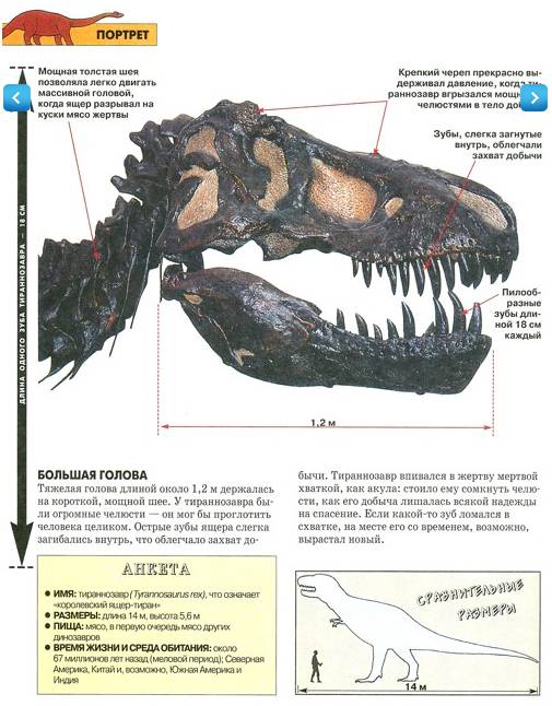 Иллюстрация 4 из 7 для Динозавры | Лабиринт - книги. Источник: Batterfly
