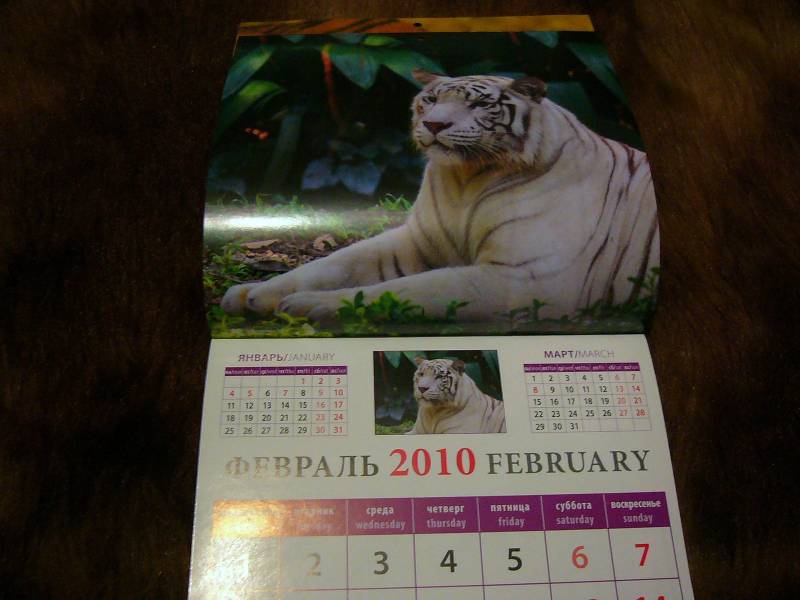 Иллюстрация 3 из 7 для Календарь 2010 "Год тигра" (30908) | Лабиринт - сувениры. Источник: Nika