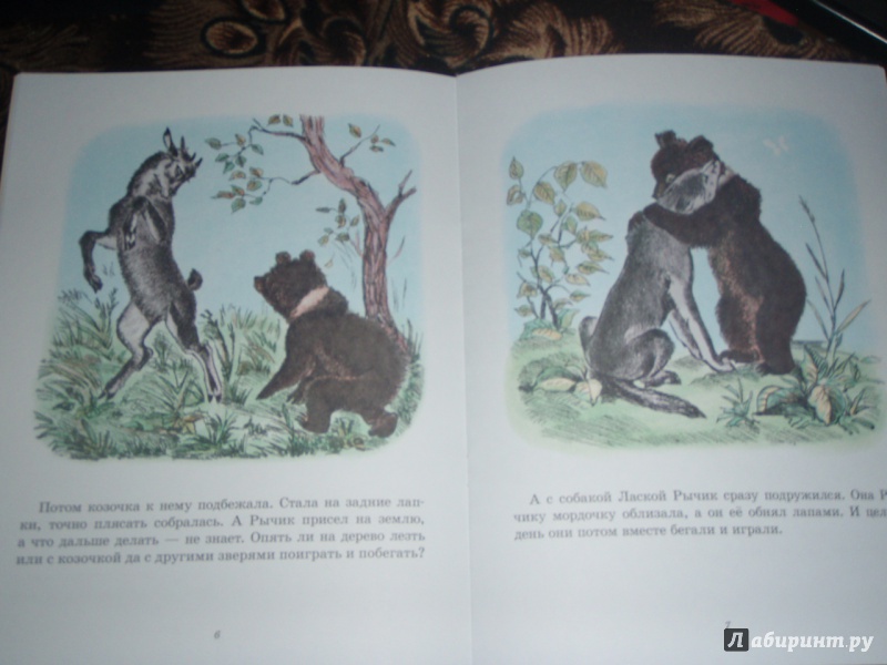 Иллюстрация 9 из 34 для Медвежонок Рычик и его товарищи - Вера Чаплина | Лабиринт - книги. Источник: солнечная поганка