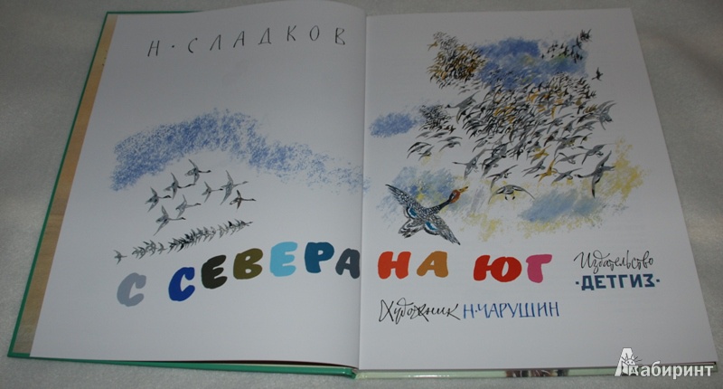 Иллюстрация 4 из 52 для С севера на юг - Николай Сладков | Лабиринт - книги. Источник: Книжный кот