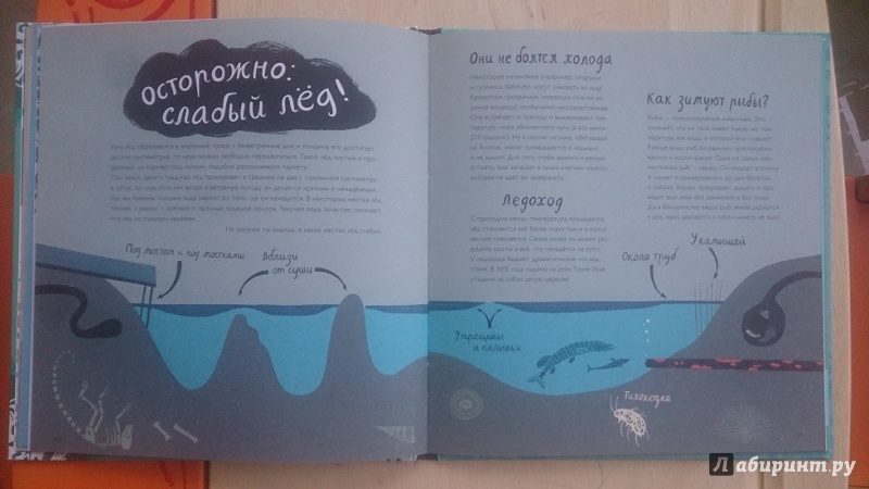 Иллюстрация 12 из 22 для Горячие факты про лёд - Лена Шёберг | Лабиринт - книги. Источник: Аскина  Юлия