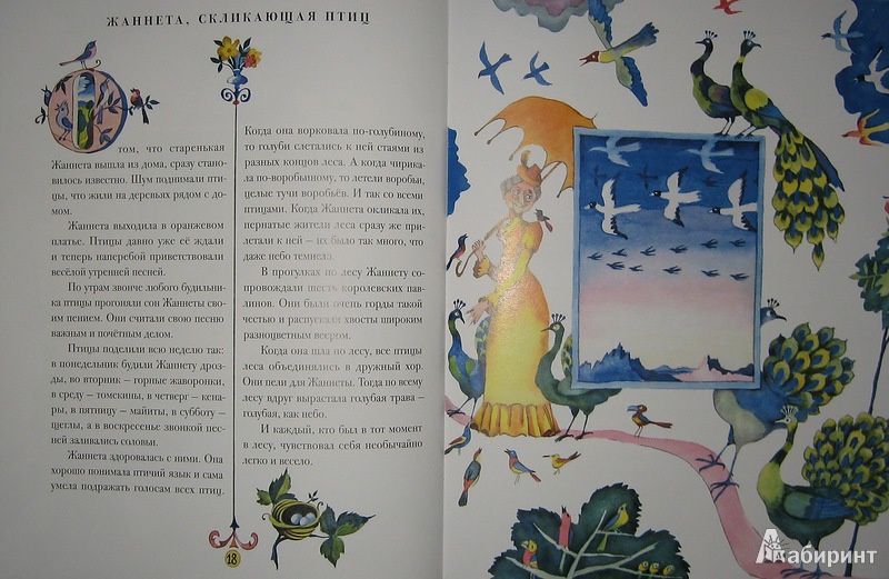 Иллюстрация 26 из 31 для Старушки с зонтиками - Лопес Кофиньо | Лабиринт - книги. Источник: Трухина Ирина