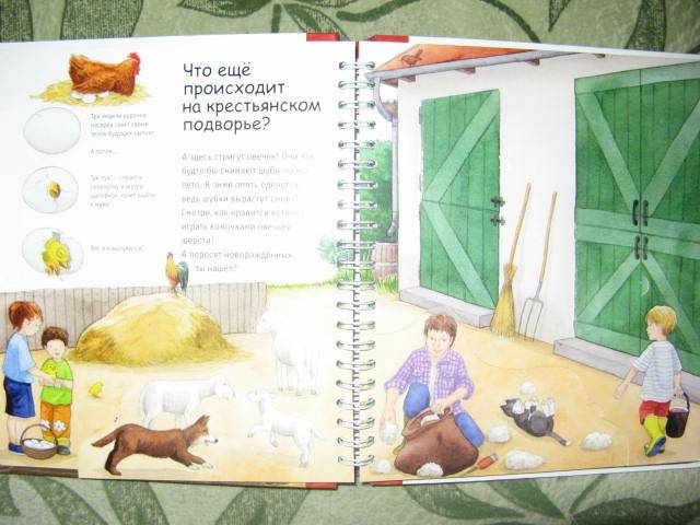 Иллюстрация 2 из 5 для Лето в деревне - Катя Райдер | Лабиринт - книги. Источник: libe