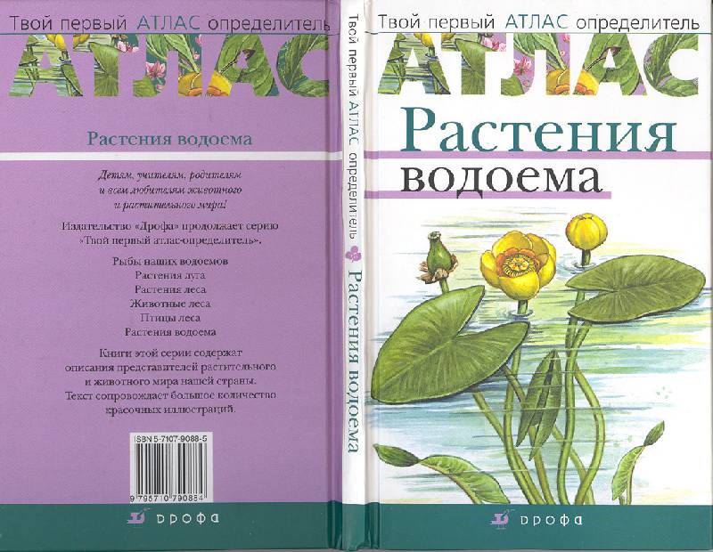 Иллюстрация 7 из 14 для Атлас: Растения водоема (7932) - Козлова, Сивоглазов | Лабиринт - книги. Источник: мамаОля