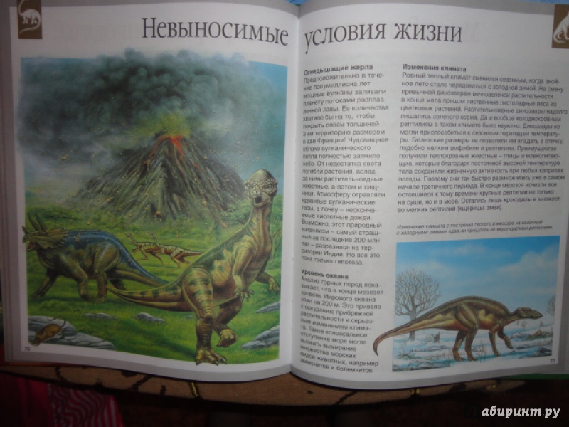 Иллюстрация 21 из 36 для Динозавры - Лора Камбурнак | Лабиринт - книги. Источник: Kristin