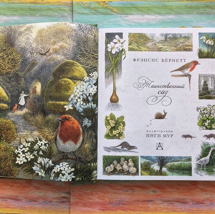 Иллюстрация 50 из 64 для Таинственный сад - Фрэнсис Бёрнетт | Лабиринт - книги. Источник: Отзывы читателей