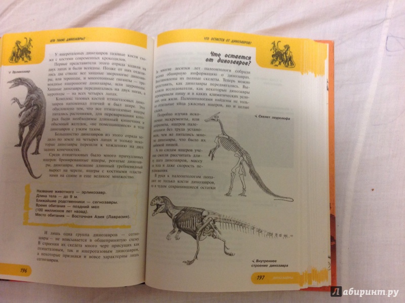 Иллюстрация 17 из 22 для Жизнь замечательных динозавров - Пахневич, Чегодаев | Лабиринт - книги. Источник: Alitalia