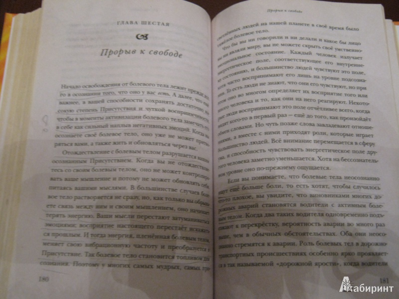 Иллюстрация 11 из 17 для Новая земля. Пробуждение к своей жизненной цели - Экхарт Толле | Лабиринт - книги. Источник: Стрелец  Евгения