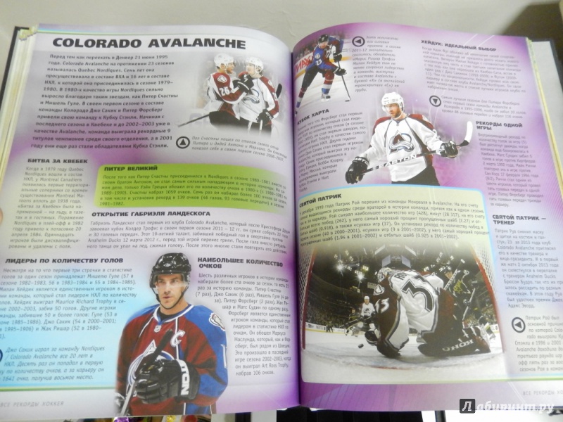 Иллюстрация 7 из 7 для Мировой хоккей - Даймонд, Цвайг | Лабиринт - книги. Источник: dbyyb