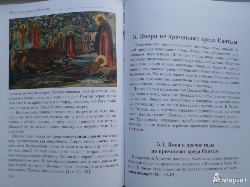 Иллюстрация 4 из 19 для Животные рядом со Святыми - Константин Протоиерей | Лабиринт - книги. Источник: Nikita.Tahirov