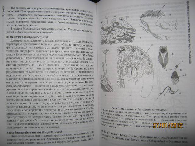 Иллюстрация 24 из 27 для Ботаника. Учебник - Зайчикова, Барабанов | Лабиринт - книги. Источник: Евгения39