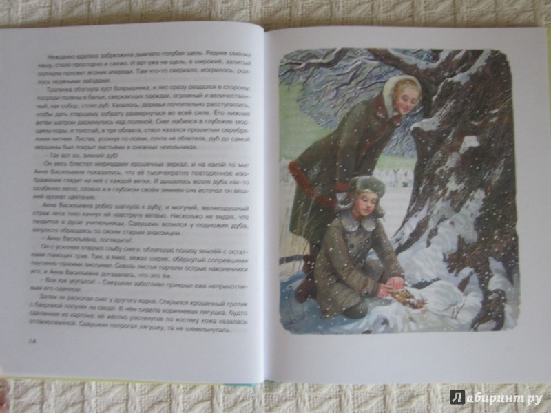 Иллюстрация 12 из 38 для Рассказы для детей - Юрий Нагибин | Лабиринт - книги. Источник: ЮлияО