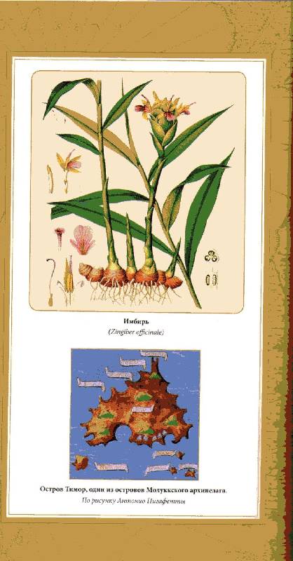Иллюстрация 19 из 39 для Путешествие Магеллана - Антонио Пигафетта | Лабиринт - книги. Источник: Пчёлка Майя