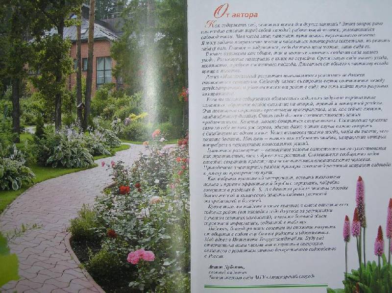 Иллюстрация 4 из 7 для Ваш сад - красивый и удобный. Современное руководство по благоустройству сада - Антон Дубенюк | Лабиринт - книги. Источник: olga_k