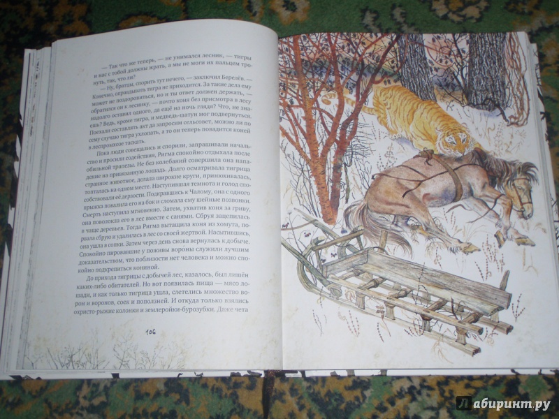 Иллюстрация 54 из 154 для Золотая Ригма - Всеволод Сысоев | Лабиринт - книги. Источник: солнечная поганка