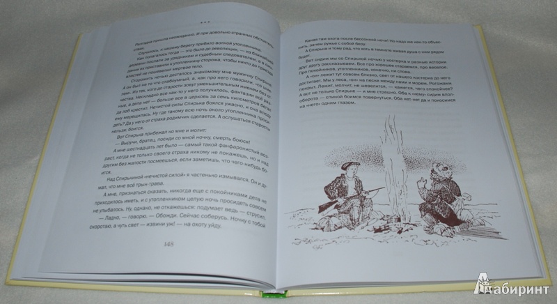 Иллюстрация 15 из 25 для Город и лес у моря - Виталий Бианки | Лабиринт - книги. Источник: Книжный кот