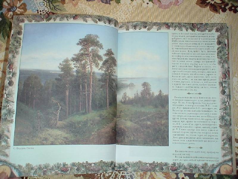 Иллюстрация 12 из 33 для Беседы о русском лесе - Дмитрий Кайгородов | Лабиринт - книги. Источник: Дубровина Наталья