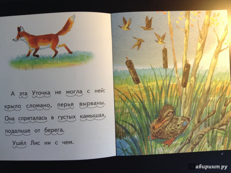 Иллюстрация 3 из 16 для Хитрый Лис и умная Уточка - Виталий Бианки | Лабиринт - книги. Источник: Lapchi