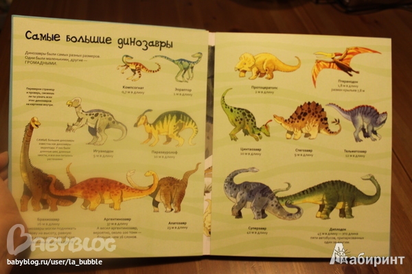 Иллюстрация 17 из 19 для Большая книга о больших динозаврах. Для детей от 4 лет | Лабиринт - книги. Источник: la-la-la-ba