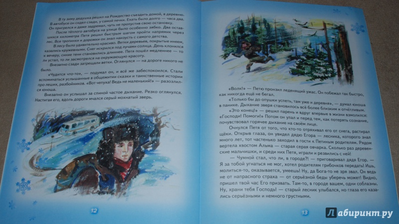 Иллюстрация 10 из 12 для Мир в дом - Елена Михаленко | Лабиринт - книги. Источник: Книжный кот