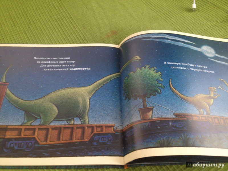 Иллюстрация 57 из 95 для Чудный поезд мчится в сон - Ринкер Даски | Лабиринт - книги. Источник: Лабиринт