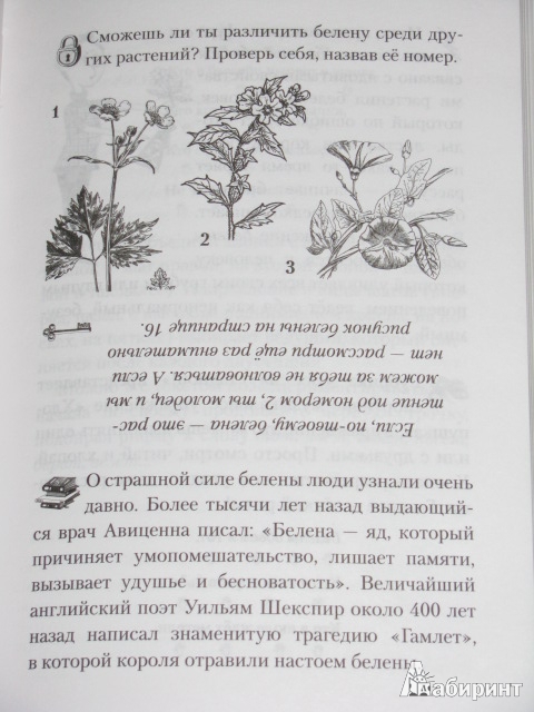 Иллюстрация 20 из 25 для Ума палата. Детский фразеологический словарь - Рогалева, Никитина | Лабиринт - книги. Источник: Nemertona