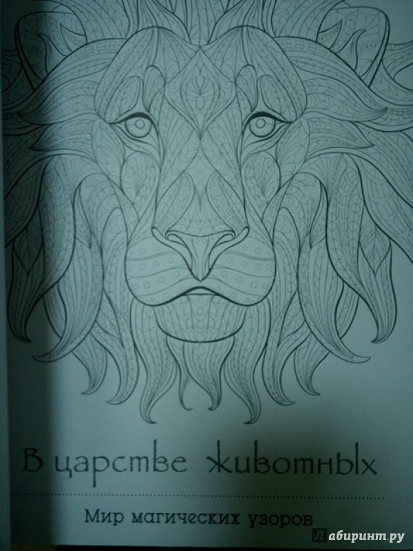 Иллюстрация 6 из 26 для В царстве животных. Мир магических узоров | Лабиринт - книги. Источник: Салус