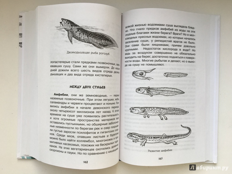 Иллюстрация 16 из 29 для Нескучная биология - Алексей Целлариус | Лабиринт - книги. Источник: Лабиринт