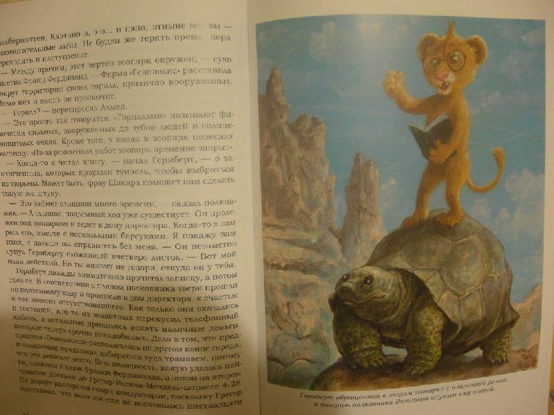 Иллюстрация 41 из 54 для Как стать настоящим львом - Ципперт, Хурцльмайер | Лабиринт - книги. Источник: Мартынова  Анна Владимировна