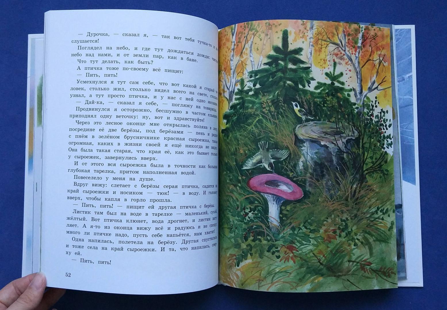 Иллюстрация 12 из 54 для Беличья память - Михаил Пришвин | Лабиринт - книги. Источник: Котова  Елена