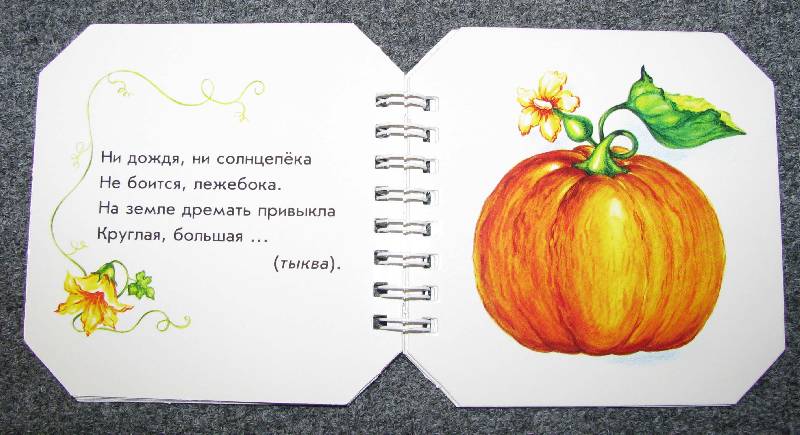 Иллюстрация 9 из 30 для Что в огороде растет - А. Геращенко | Лабиринт - книги. Источник: Апельсинка
