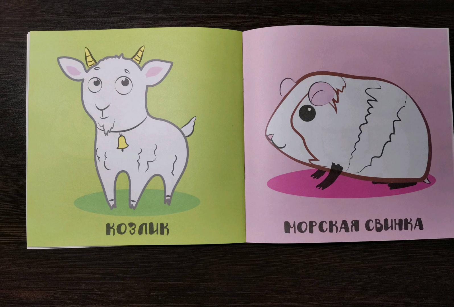 Иллюстрация 16 из 24 для Мои любимые животные. Книжка-раскраска | Лабиринт - книги. Источник: Сажаев Игнат