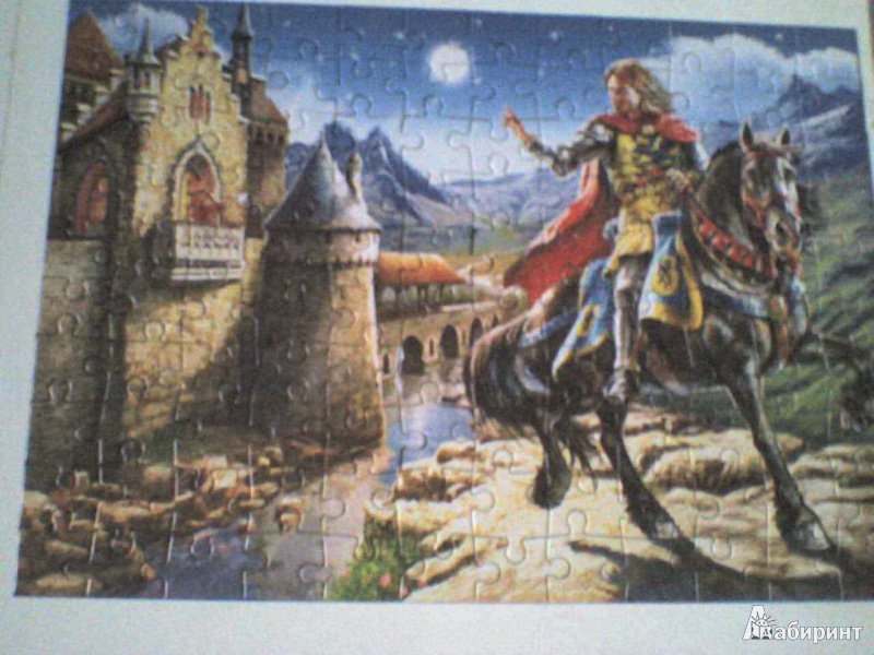 Иллюстрация 1 из 5 для Puzzle-120 MIDI "Рыцарь и принцесса" (В-12701) | Лабиринт - игрушки. Источник: Роза с шипами