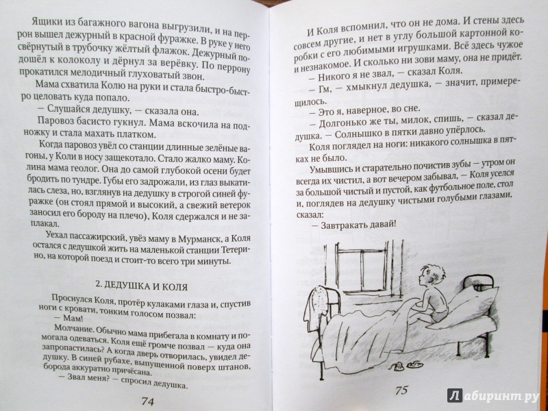 Иллюстрация 14 из 17 для Куда улетают ласточки - Вильям Козлов | Лабиринт - книги. Источник: Зеленая шляпа