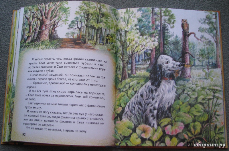 Иллюстрация 13 из 22 для Большая птичья книга | Лабиринт - книги. Источник: Штерн  Яна