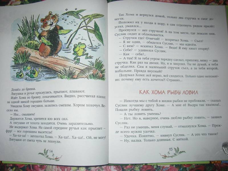 Иллюстрация 42 из 49 для Приключения Хомы и Суслика - Альберт Иванов | Лабиринт - книги. Источник: Ромашка:-)
