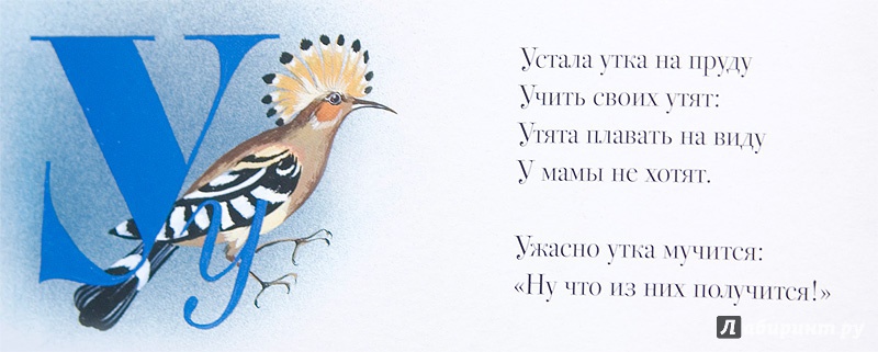 Иллюстрация 23 из 75 для Азбука - Виктор Лунин | Лабиринт - книги. Источник: mangust