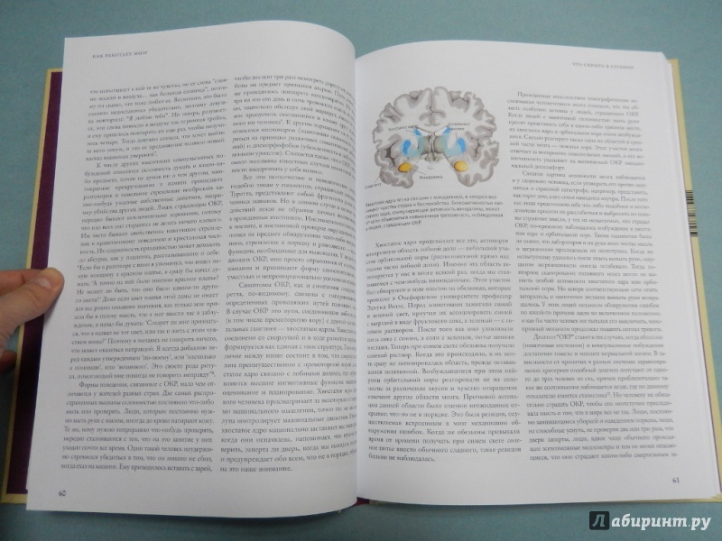 Иллюстрация 8 из 9 для Как работает мозг - Рита Картер | Лабиринт - книги. Источник: dbyyb